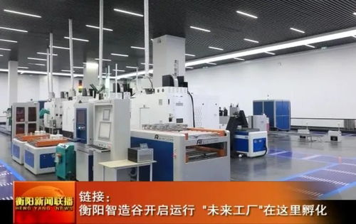 衡阳智造谷开启运行 未来工厂在这里孵化，经营电子商务再添新机