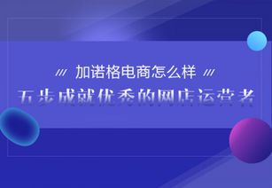 加诺格电商全面解析 五步成就优秀网店运营者的计算机软硬件指南